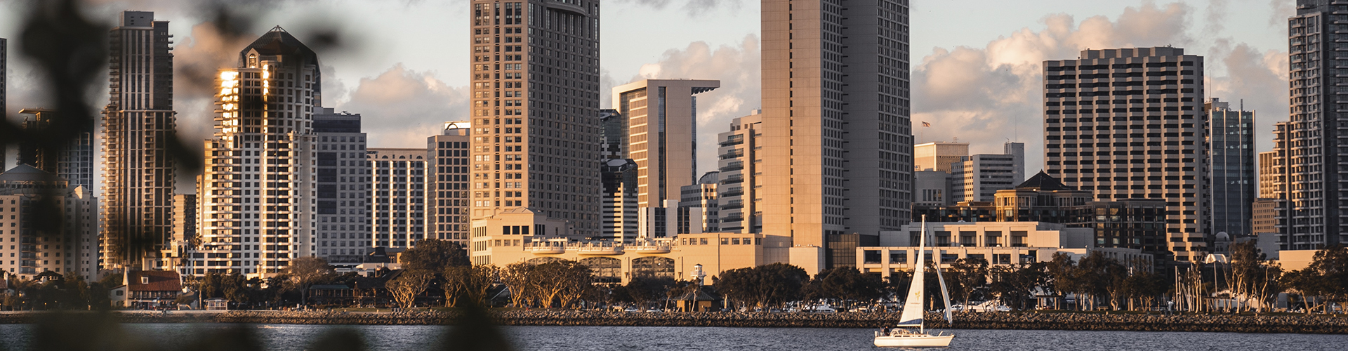 San Diego city setting
